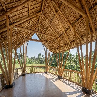 Emana Bambooscape fotoÄŸrafÄ±