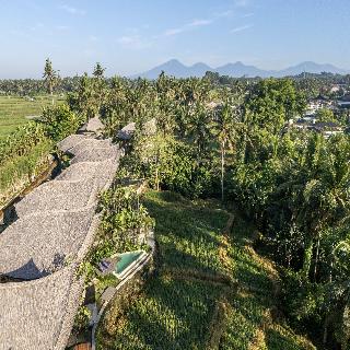 Emana Bambooscape fotoÄŸrafÄ±
