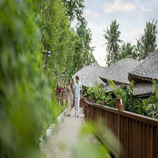 Emana Bambooscape fotoÄŸrafÄ±