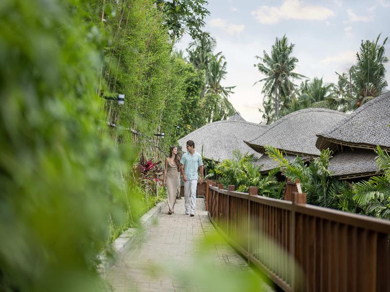 Emana Bambooscape - Genel