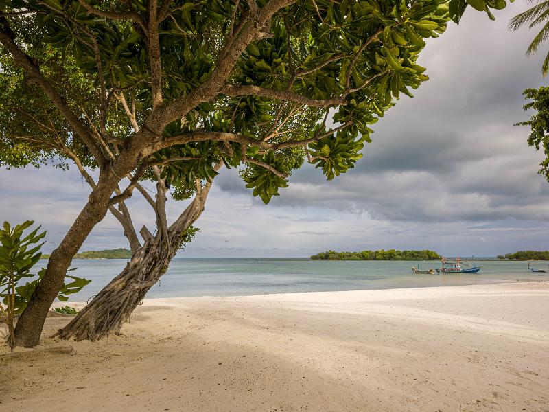 Samui Natien Beach Resort - Havuz