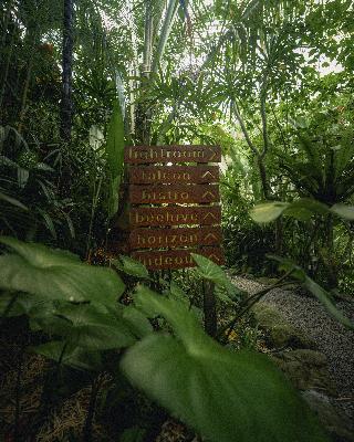 Hideout Eco Bamboo House Bali fotoÄŸrafÄ±