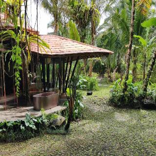Hideout Eco Bamboo House Bali fotoÄŸrafÄ±