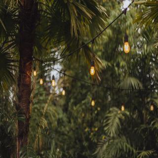 Hideout Eco Bamboo House Bali fotoÄŸrafÄ±