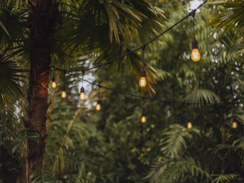 Hideout Eco Bamboo House Bali - Oda