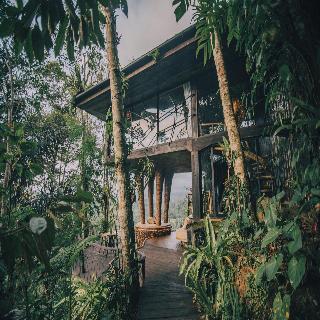 Hideout Eco Bamboo House Bali fotoÄŸrafÄ±
