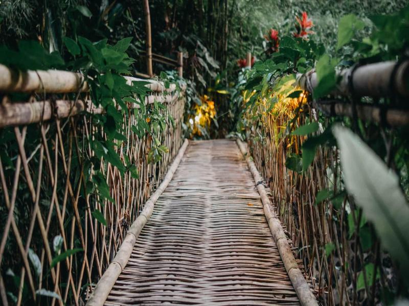 Hideout Eco Bamboo House Bali - Oda