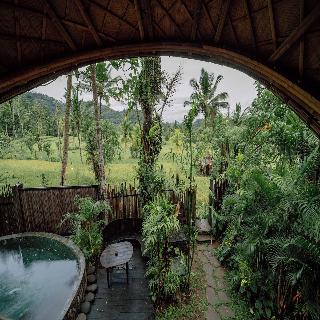 Hideout Eco Bamboo House Bali fotoÄŸrafÄ±