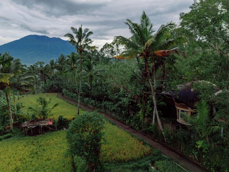 Hideout Eco Bamboo House Bali - Oda