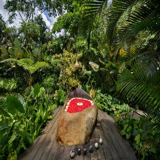 Hideout Eco Bamboo House Bali fotoÄŸrafÄ±