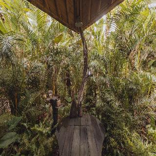 Hideout Eco Bamboo House Bali fotoÄŸrafÄ±