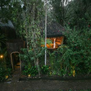 Hideout Eco Bamboo House Bali fotoÄŸrafÄ±