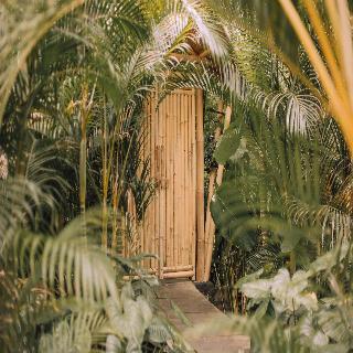 Hideout Eco Bamboo House Bali fotoÄŸrafÄ±