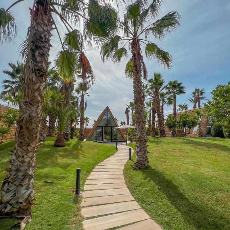 Le Domaine Limoune - Lobi