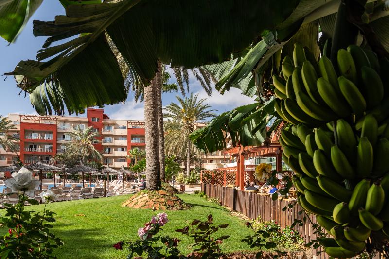 Elba Carlota Beach & Golf Resort - Havuz