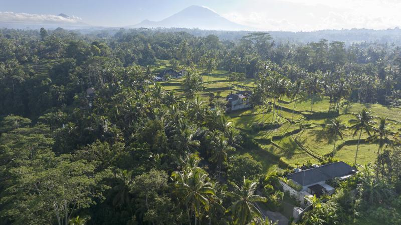 Arvanya Villa Ubud - Genel