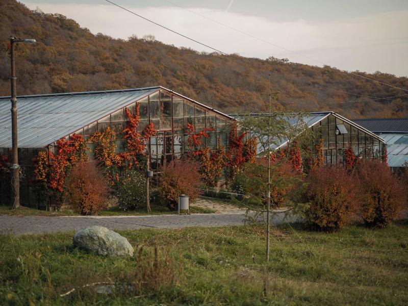 Kiketi Farm Hotel - Aktivite