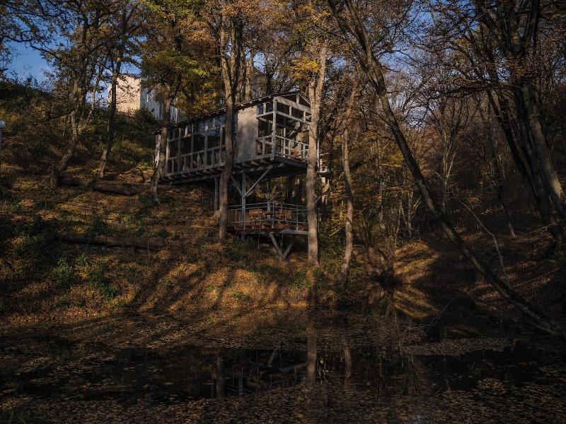 Kiketi Farm Hotel - Genel