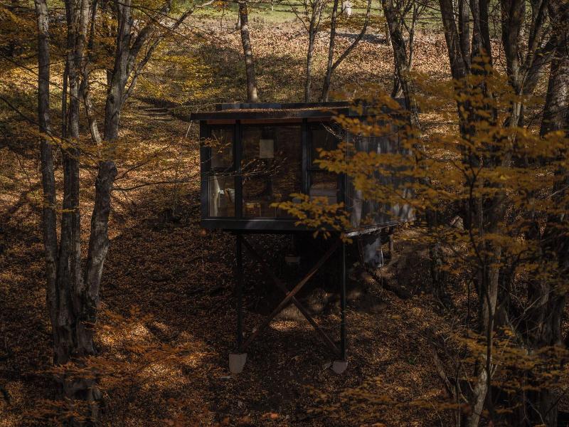 Kiketi Farm Hotel - Oda