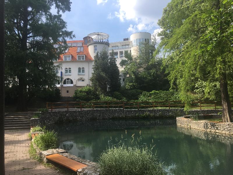 Bastya Wellness Hotel - Genel