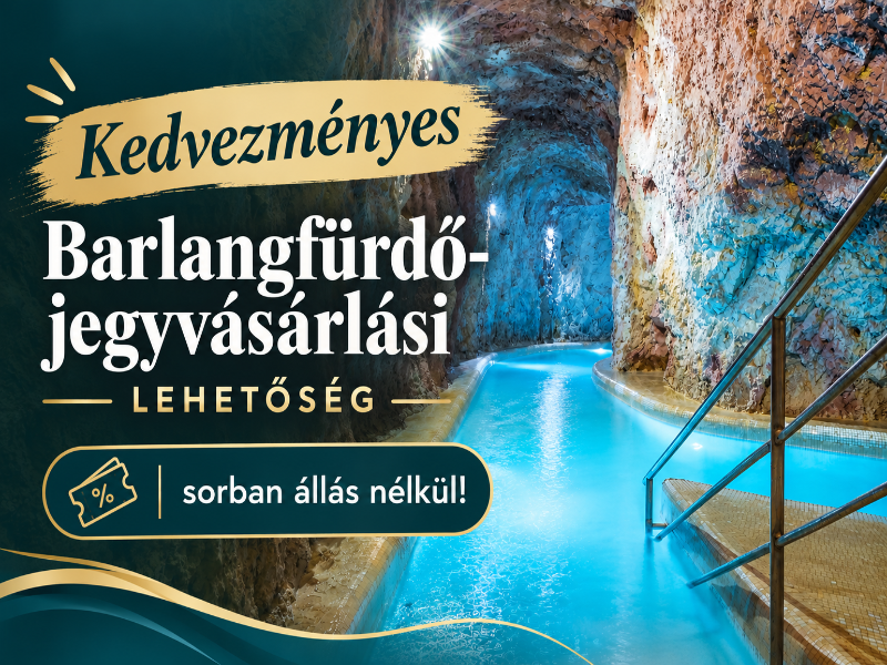 Bastya Wellness Hotel - Genel