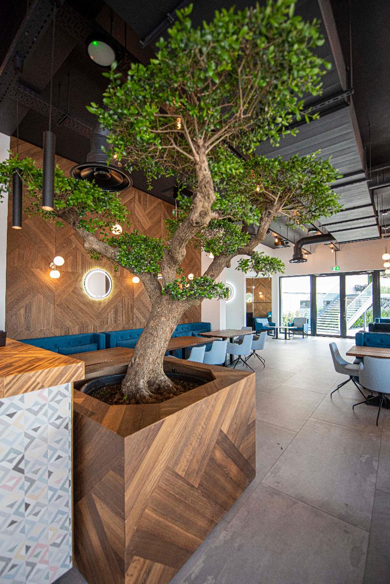 Hotel Aventus - Restoran