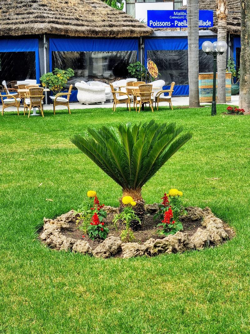 El Oumnia Puerto - Havuz
