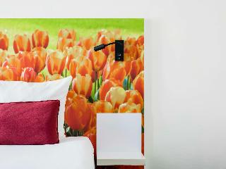 ibis Styles Amsterdam City fotoÄŸrafÄ±