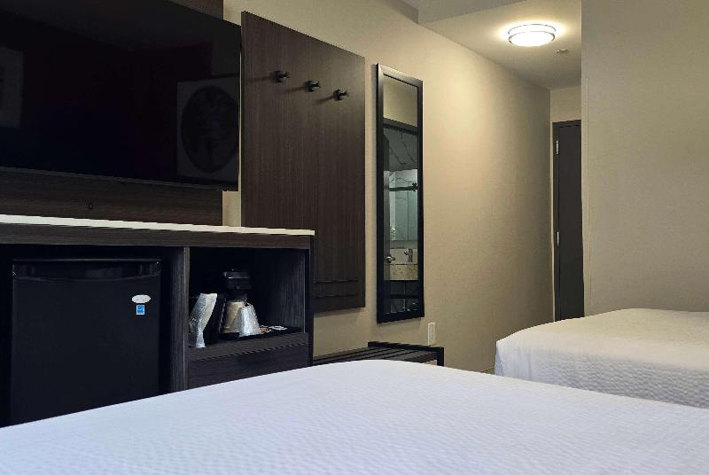 Ramada By Wyndham Brooklyn Empire Blvd - Oda