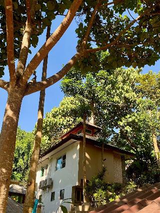 The Cascade-mae Taeng Waterfall Bungalows By Zuzu fotoÄŸrafÄ±