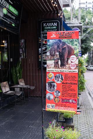 Kayan Hostel By Zuzu fotoÄŸrafÄ±