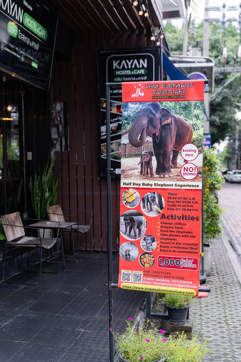 Kayan Hostel By Zuzu - Genel