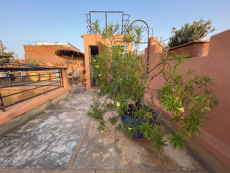 Riad Samarine - Oda