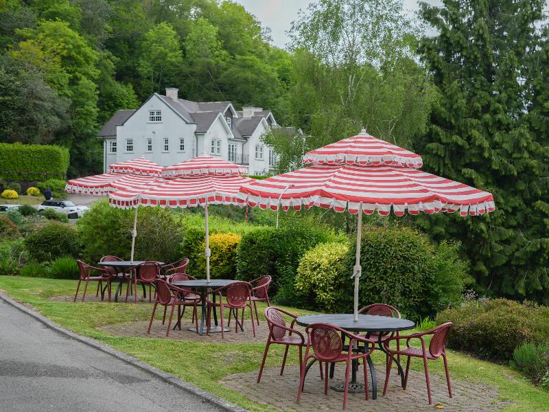 Cottage In The Wood Hotel - Lobi