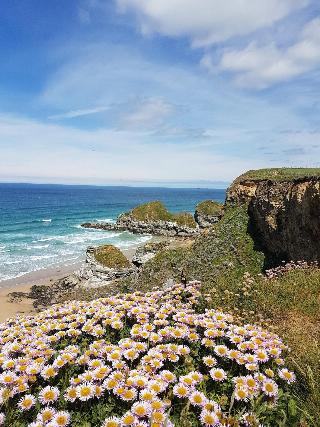 SeaSpace fotoÄŸrafÄ±