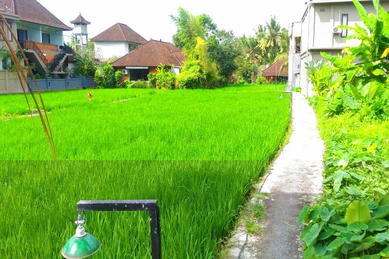 Keladi House Ubud By Zuzu - Genel