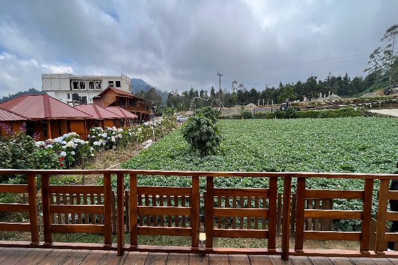 Fifa Cabin Dieng By Fifa Grup By Zuzu - Oda