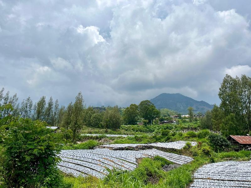 Batur Sunsun Kintamani By Zuzu - Genel
