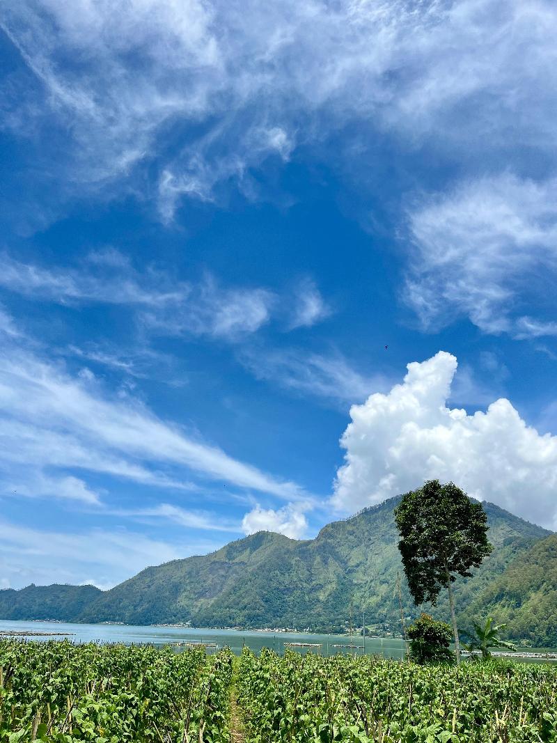 Batur Sunsun Kintamani By Zuzu - Genel