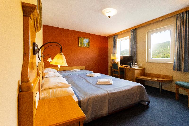 Aquamarina Hotel Visegrád - Oda