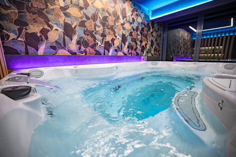 Viale Boutique Hotel Villány - Havuz