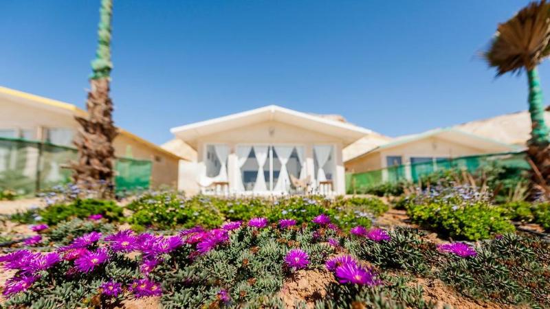Dakhla Pk25 - Oda