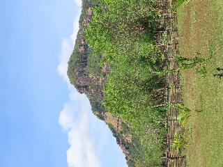 Kebon Homestay fotoÄŸrafÄ±