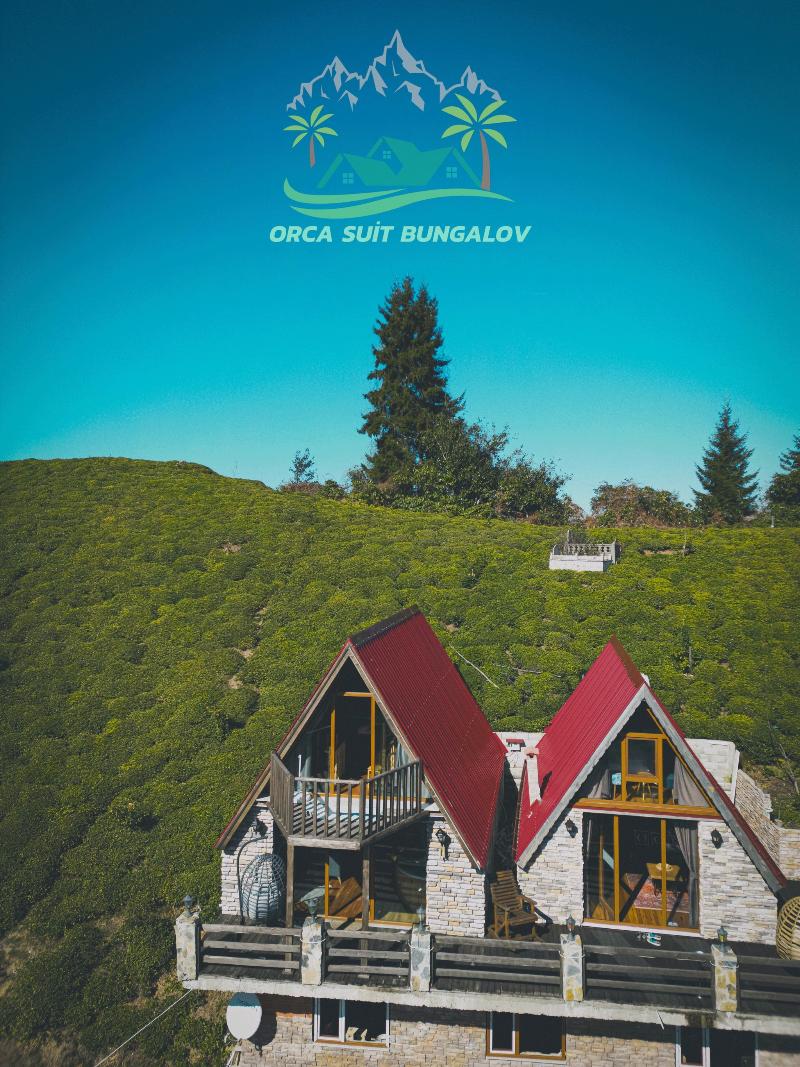 Orca Bungalows - Genel