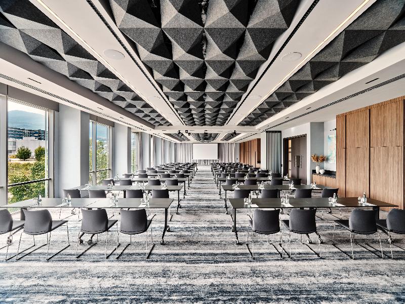 Crowne Plaza Sofia - Toplantı