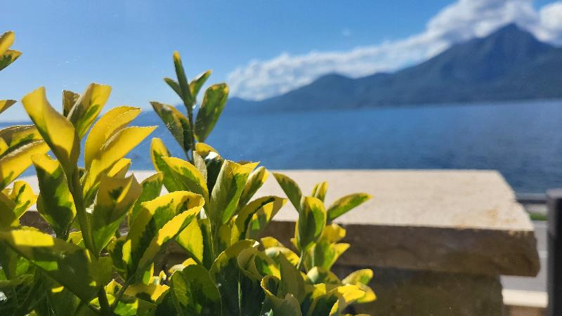 Attilio High Living Suites - Adults Only - Oda