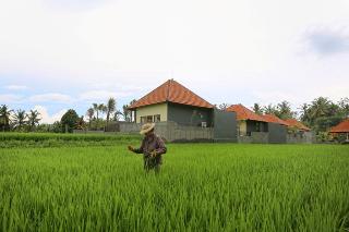 Asri Sari Villa Ubud otel fotoğrafı