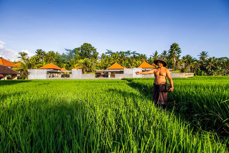 Asri Sari Villa Ubud - Genel