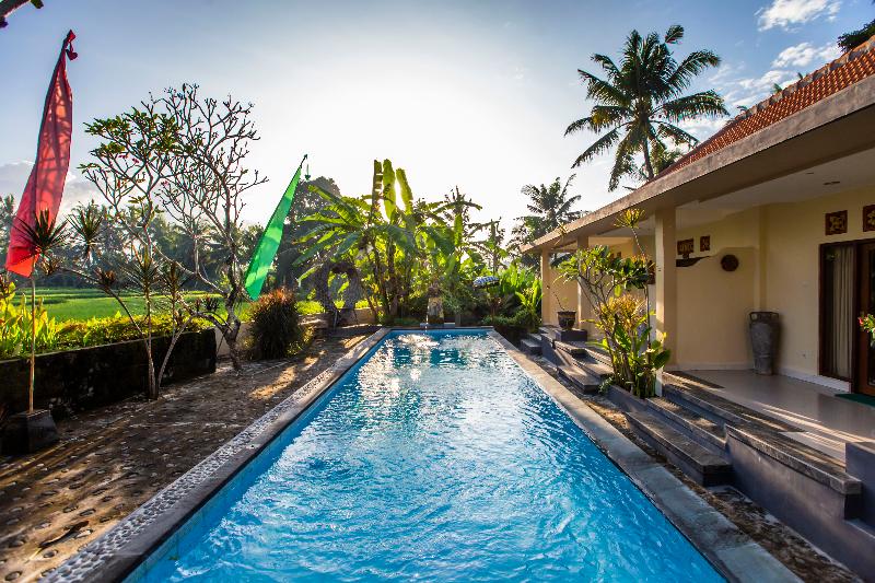 Asri Sari Villa Ubud - Havuz