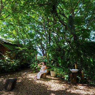 Khaosok Boutique Camps fotoÄŸrafÄ±